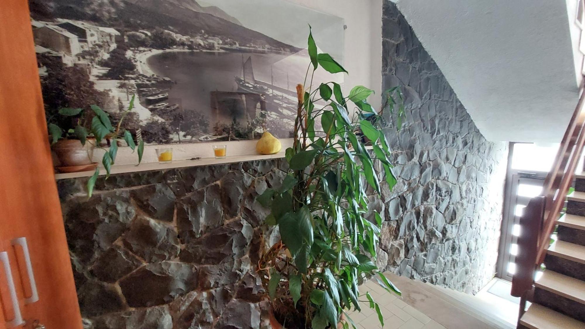 Haus Sonja Apartment Podgora Luaran gambar